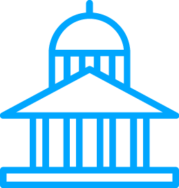 government