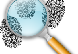 Search software for investigation