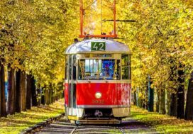 Metro Fall